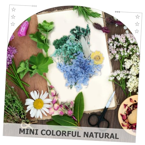 Flores Secas Prensadas para Manualidades IWOWHERO miniatura 5