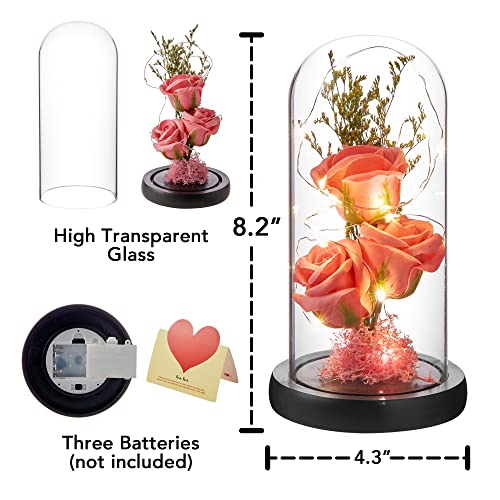 oridom Preserved Flower Gift, Light Up Rose in Glass Dome, Eternal Forever Rose Flower Gifts for Her, Grandma, Mother’s Day, Valentine’s Day, Anniversary, Birthday, Christmas Decorations, Rose Pink