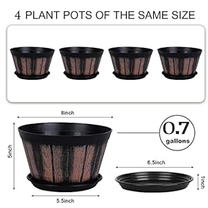 Quarut 8 inch Brown Plastic Whiskey Barrel Plant Pots Set of 4 with Drainage Holes and Saucer for Indoor and Outdoor Garden Home Plants Quarut 8 inch Brown Plastic Whiskey Barrel Plant Pots Set of 4 with Drainage Holes and Saucer for Indoor and Outdoor Garden Home Plants