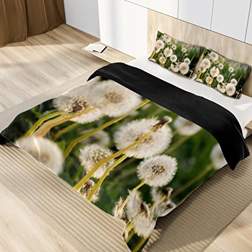 Duvet Covers Set California King Dandelions Growing - Soft And Breathable Microfiber Comforter Bedding Set With Zipper Closure For Kids Women Men, 1 Duvet Cover 2 Pillowcase #TOP1
