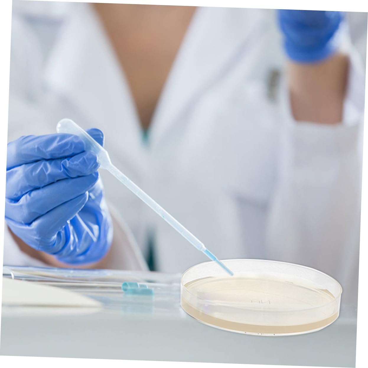 Piastre di Petri con Agar Nutriente 20 Pezzi, Piastre