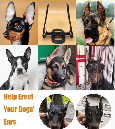 Yanzisno1 Dog Ear Posting Kit, Abs High Elastic Material, With Forceps Locking Tweezers Clamp-Ear Stand Up Support-Tape-Cotton, Dog Ear Stand Up Tool, For Doberman Pinscher Dog Samoyed Husky #TOP3