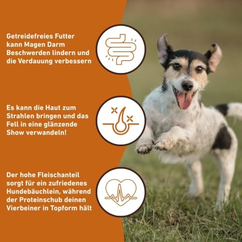 Wildfang® Hundefutter - Trocken - Getreidefreies Hundefutter - Premium Trockenfutter (2 kg, Ente mit Süßkartoffel)
