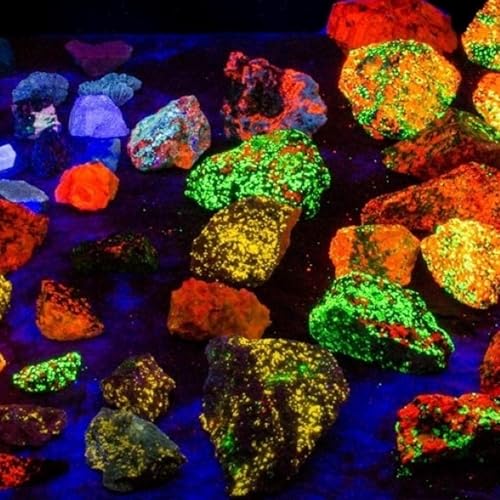Page de couverture de Il segreto luminoso delle rocce: viaggio nella fluorescenza