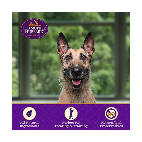 Old Mother Hubbard Classic Crunchy Natural Dog Treat, PNuttier Large