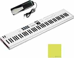 Amazon.com: Arturia KeyLab Essential 88 mk3 Full-size