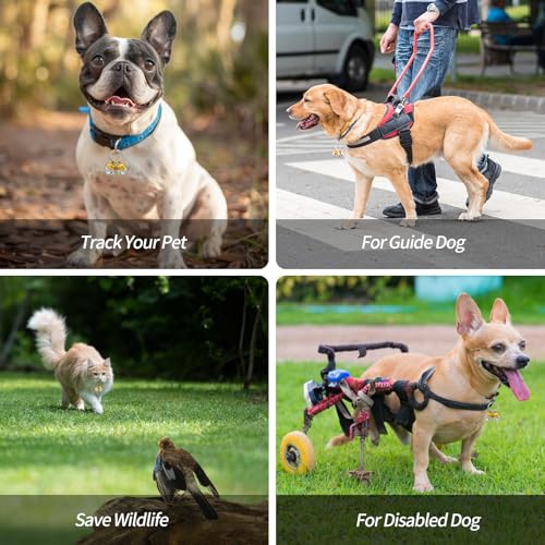 Whimsii Extra Loud Cat & Dog Bell for Collar, Pet Tracker & Falconry, Durable Brass Collar Charms with Swivel Lobster Clasp