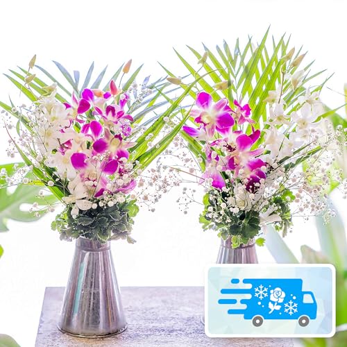 yNx̂܂܁z[b܎܃fUCi[ďC]   (m)STCY (//ԕd/l\//@/~/ފ) [`s̉ԉ t[Xg]