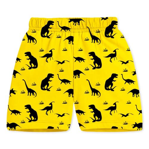 Image of Trampoline Boys Pack of 2 T-Shirt and Shorts Set - Dinosaur & Tiger Print