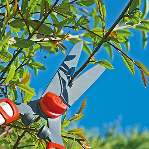 Image of WOLF-Garten 73BHA001650 Manual Hedge Shear for Home & Garden Use