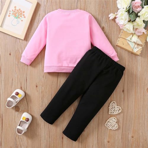 Toddler Kids Girls 2-Piece Outfits Heart Sweatshirt Jogger Set outfits Soft Cute Sweater Sweatpants Fall Winter Clothes3