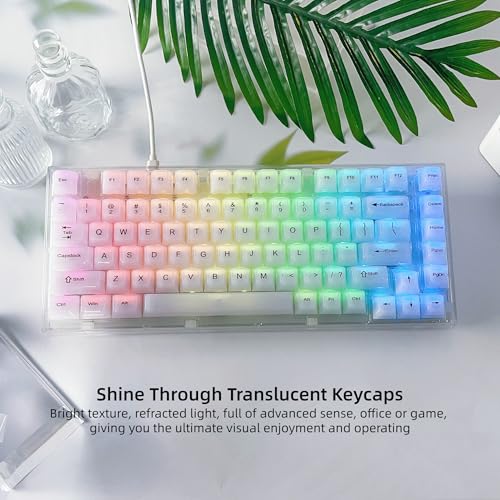 Image of Womier Keyboard Keycaps Jelly, Cute White Keycaps 60 65 75 100 Percent