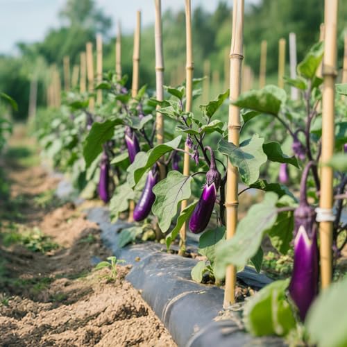 36 Pcs Natural Bamboo Plant Stakes - 30% Off Garden Support