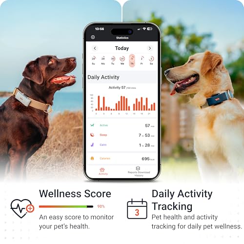 PAJ GPS Dog Tracker - 4G Real-Time Tracking & Runaway Alerts - Waterproof, Long-Range, Smart App Monitor Health & Activity - Fits Any Collar, Mini Device Navigator Chip - Subscription Required - Black - Image 5