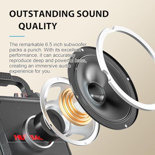 Image of Portable Karaoke Machine with 2 Wireless Microphones, Bluetooth Speaker for Adults & Kids, Karaoke Speaker, PA System with Remote Control, TF Card /USB /FM /AUX Mode for Party, Home & Outdoor