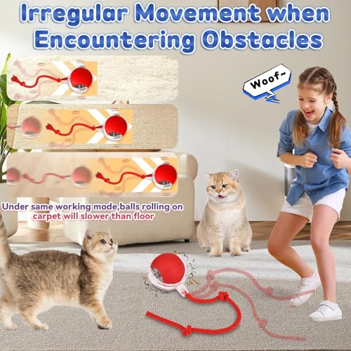 COLEESON Interactive Cat Toy - Image 2
