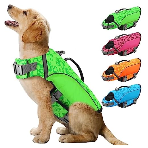 ALAGIRLS Chaleco salvavidas Bulldog Francés Traje de Baño de Seguridad para Mascotas Preserver para Piscina Beach Boating ALADLJ004 Verde M