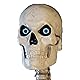 Home Accents 12 ft. Giant-Sized Skeleton with LifeEyes Product Image 3