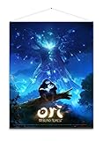 anime wall scroll custom  Ori and the Blind Forest Wallscroll Keyart