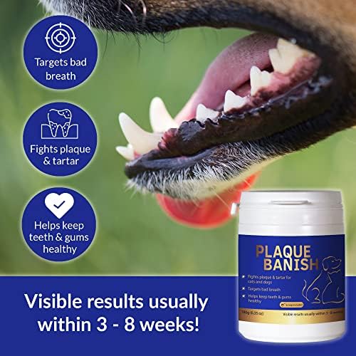 How Do I Get Plaque Off My Dogs Teeth