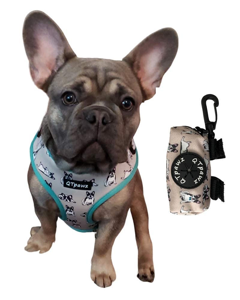 Do French Bulldogs Need A Harness