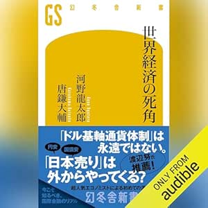 世界経済の死角: (幻冬舎新書) 