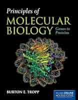 健康・医学 Molecular biology Molecular Biology : Principles and Practice by Jennifer