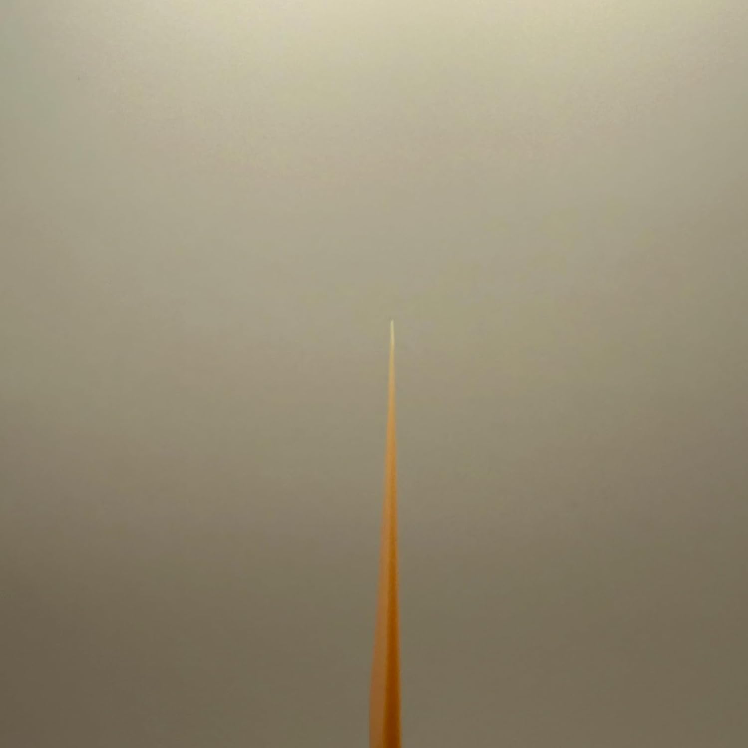 Alto Saxophone Reeds - Seinsia Miracle Reeds (3pcs) - Reeds for Alto Saxophone (2)