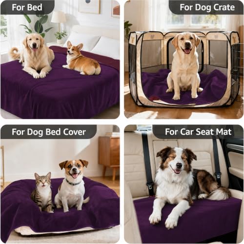Image of LOOBANI Waterproof Dog Blanket for Bed: Spill-Proof Puppy Blankets for Small Medium Dogs Washable, Reversible Soft Flannel Pet Throw for Couch Sofa Cover, Travel, Camping, 30 inch x 40 inch, Purple