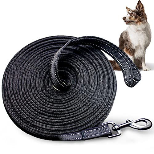 Longe pour Chien 10m - Laisse de Dressage - Grande Laisse pour Chien avec Mousqueton