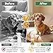 sinBron Anti-Chew Bitter for Dog Behavior Training Aid Spray, Natural Ingredients, Protect Furniture Shoes Belongings, Stop Chewing, Licking, Biting for Dog Deterrent Spray - Formula 7