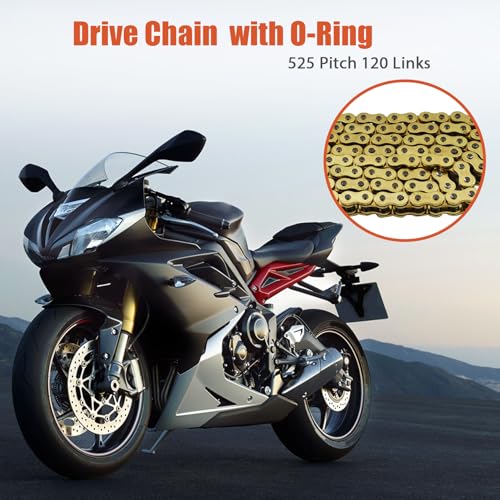 Labwork 525 O-Ring Chain