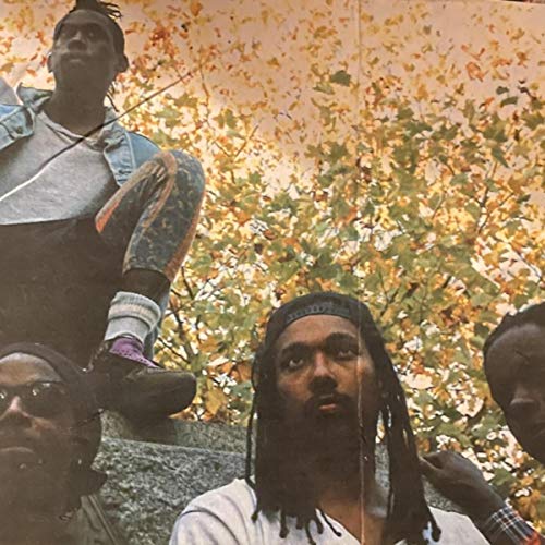 Top 10 Best Shark Chum in US 2023 [ Buying Guide & Comparison Table ]