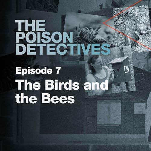 The Birds and The Bees