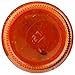 CARBONE Roasted Garlic Pasta Sauce, 24 OZ