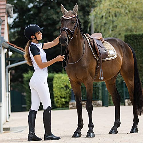 Horze Clermont Ergonomic Padded Genuine Leather Snaffle Bridle For Horses | Flash Noseband Included - Dark Brown - Cob #TOP5