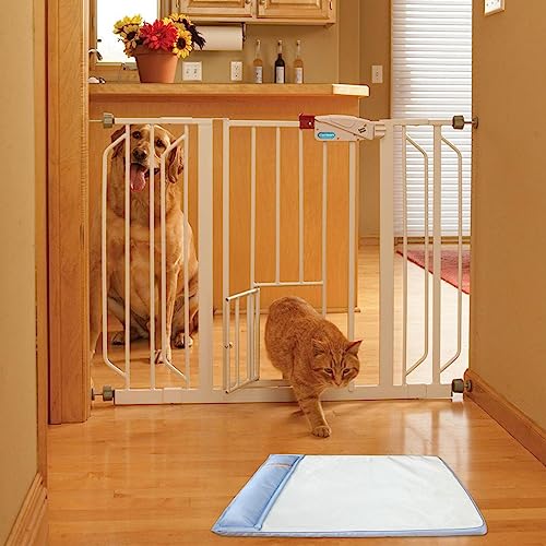 Tapete legal para cães,Almofadas para dormir Almofada de resfriamento para cães - Almofada respiráve