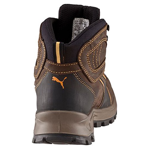 puma sierra nevada mid