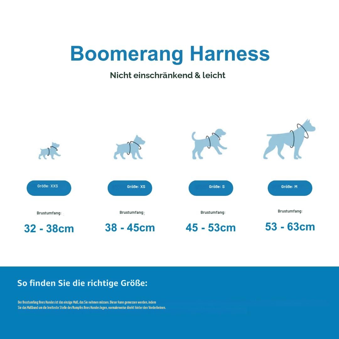 BullyBillows Boomerang Hundegeschirr – Türkis, Größe S