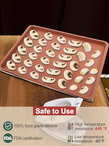 image for Aulock 4PCS Silicone Food Dehydrator Sheets with Edge, Compatible with