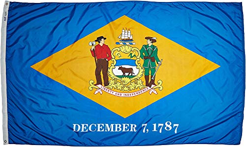 Annin Flagmakers Delaware State Flag - 5 x 8 Feet (Model 140880)