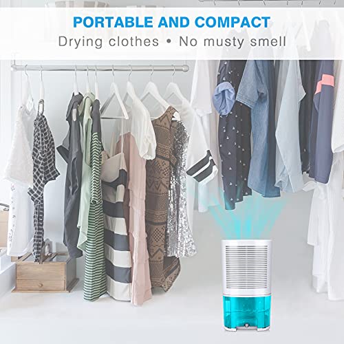 Levoair Dehumidifier 68Oz(2000Ml) Small Dehumidifier With Drain Hose For Up To 650 Sq.ft Ultra Quiet Mini Portable Air Dehumidifier For Home Basements Bathroom Bedroom Closet Kitchen Rv #TOP3