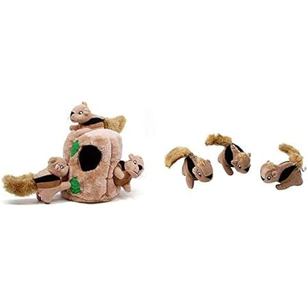 amazon hide a squirrel