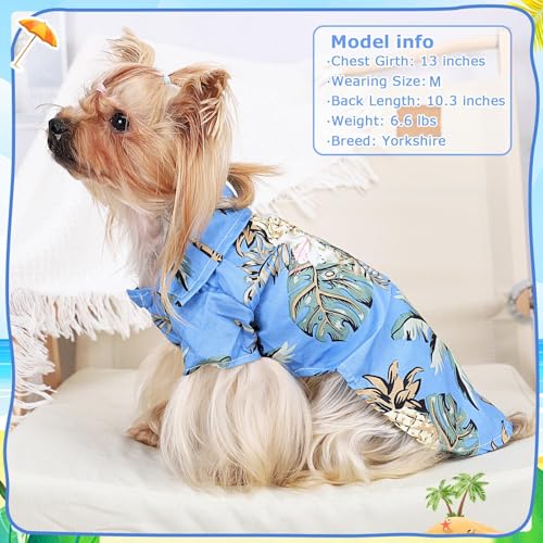 Hawaii Hunde Shirts für Kleine,Sommer Hundeshirts,Pet Poloshirt T-Shirt,Hunde Shirt für Kleine Dog,Hundeshirt Bedruckte T-Shirts Schnell Trocknende Atmungsaktive für Small Dog Katzen (Himmelblau,M)