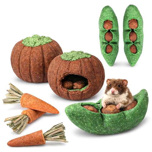 HERCOCCI 8Pcs Guinea Pig Chew Toys Hamster Toys Prevent Excessive Teeth Growth Natural Vegetables Carrot and Timothy Grass for Guinea Pig Rabbit Chinchillas Gerbil