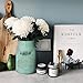 HyFanStr Shabby Chic Green Painted Milk Can Style Metal Vase Flower Pitcher Jug Pot