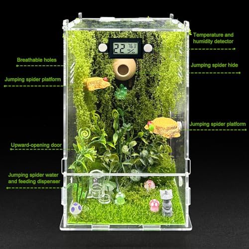 Jumping Spider Enclosure,DIY Insects Habitat,Small Reptile Terrarium Glass House Accessories Set,with Temperature and Humidity Detector Water Feeder Platform Hide,5.5“x5.5”x9.5“ (Forest) - 2