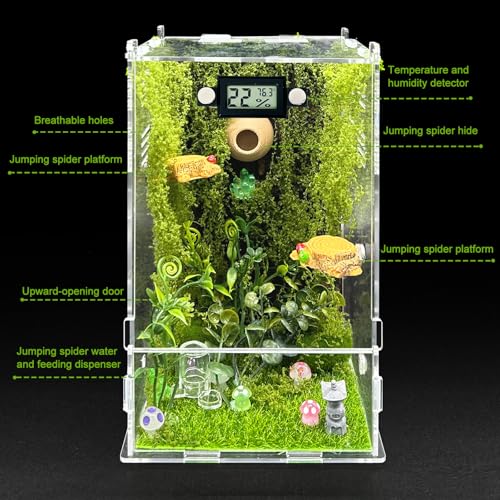 Image of Jumping Spider Enclosure,DIY Insects Habitat,Small Reptile Terrarium Glass House Accessories Set,with Temperature and Humidity Detector Water Feeder Platform Hide,5.5 inchx5.5 inchx9.5 inch (Forest)