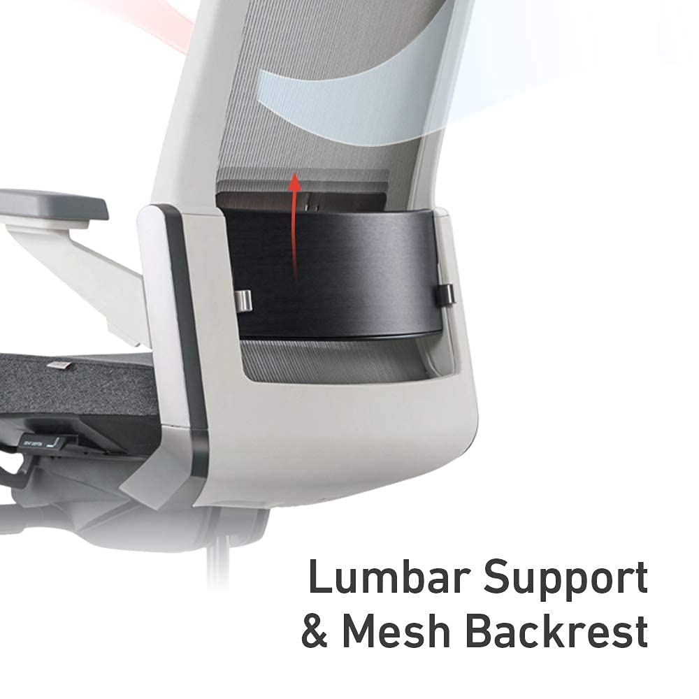 SIDIZ T80 Ergonomic Home Office Chair German Mechanism for Extreme