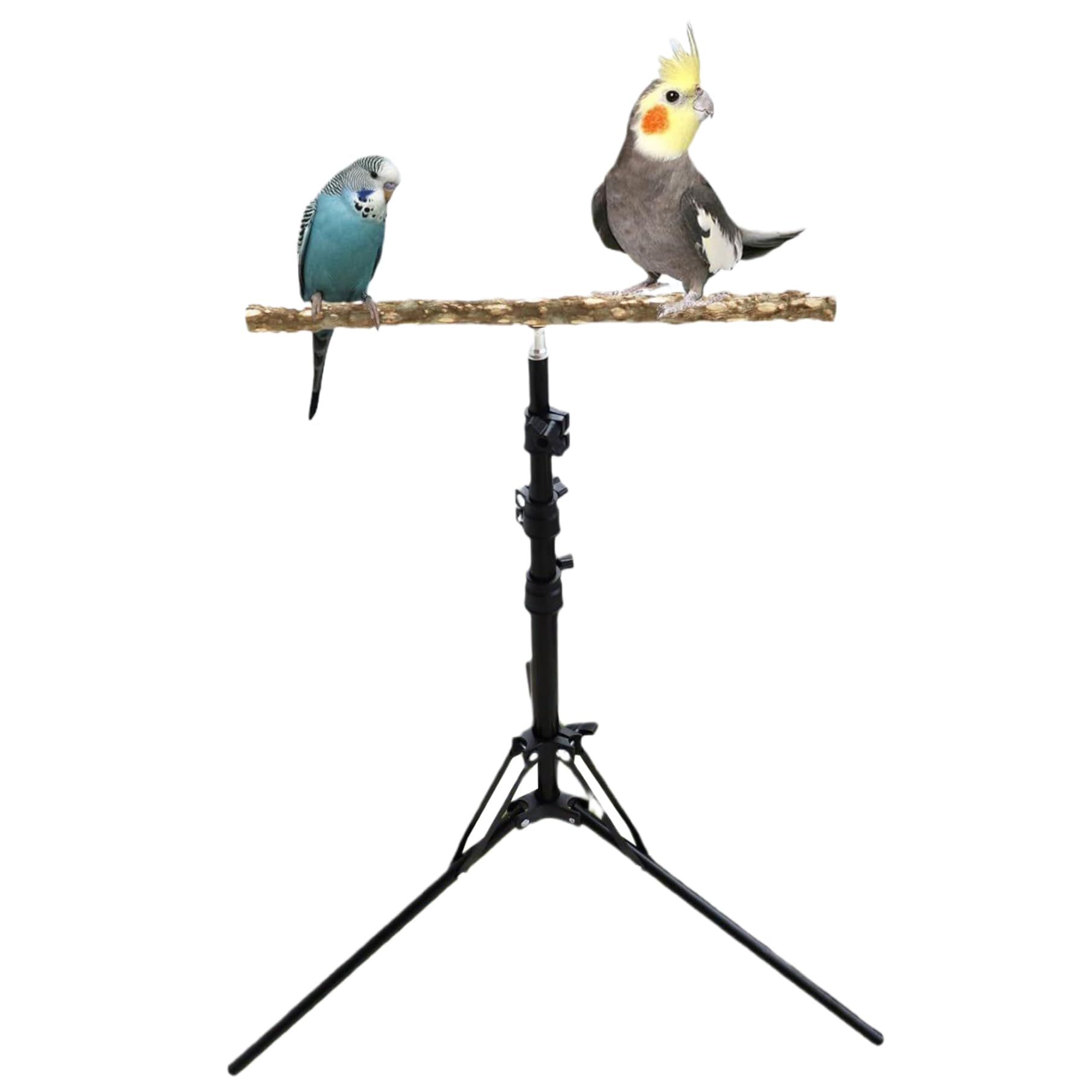 Perchoir pour oiseau grand trépied pliable 62'' avec perche bois 16'' réglable